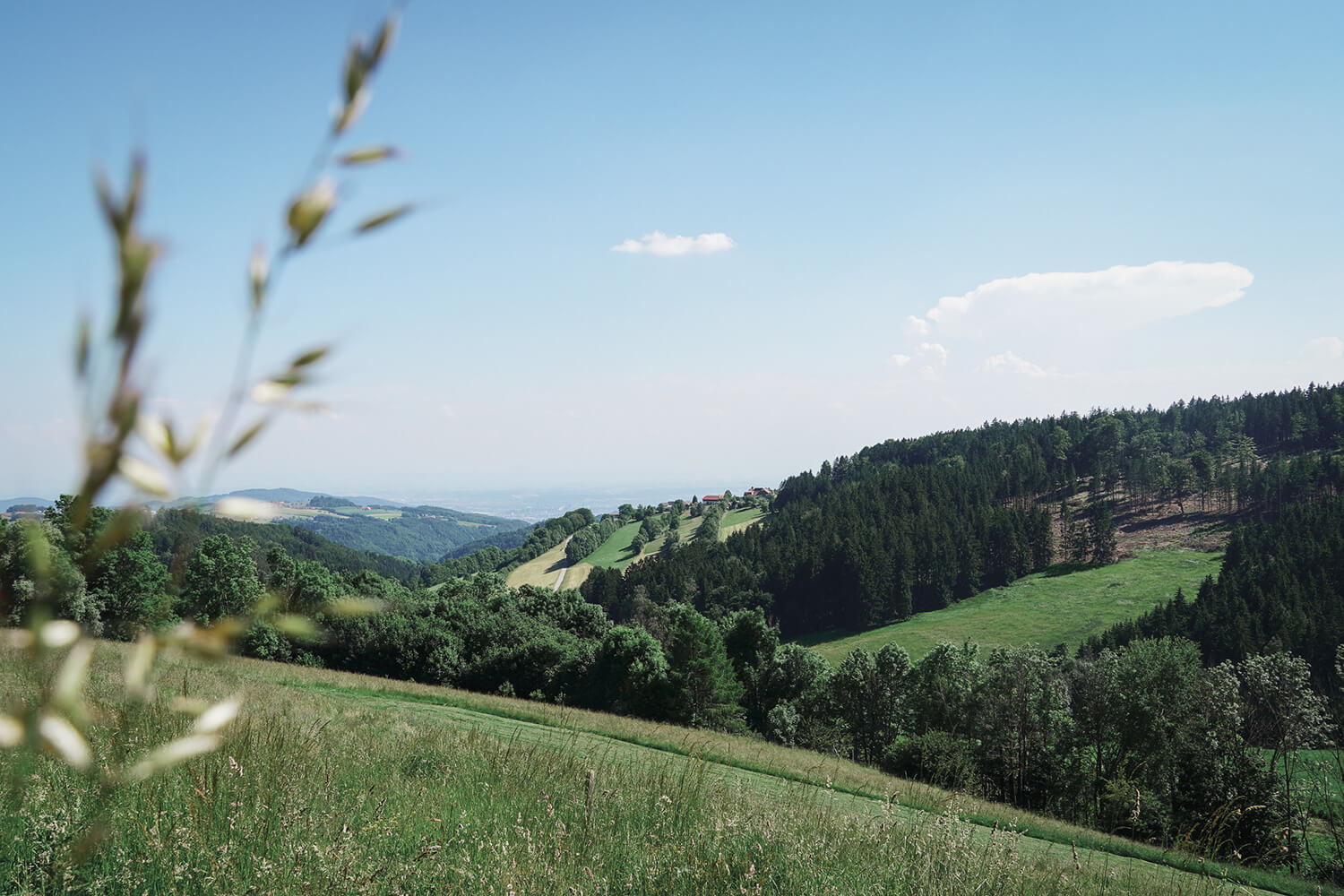 Erholen in Kichschlag bei Linz