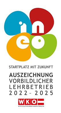 ineo_2022_2025_web